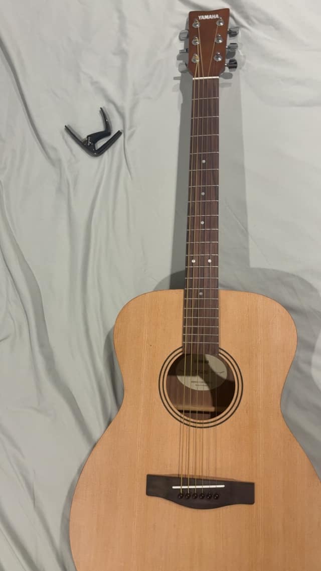 Guitar